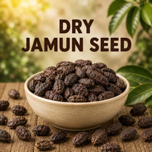 Organic Dried Jamun Seeds | Premium Java Plum Seeds (Syzygium Cumini) | Natural Botanical Ingredient for Traditional Uses