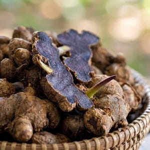 May include: A collection of raw black turmeric rhizomes piled in a woven basket. The knobby, brown-skinned roots are clustered together, with two pieces sliced open to reveal a deep, dark purple interior flesh and a small, sharp green sprout.