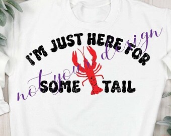 Watercolor Lobster Crayfish Crawfish Digital Clip Art Set - Etsy