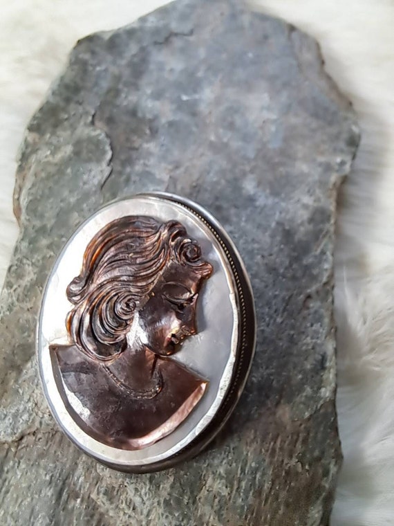 Vintage Hand-Carved Abalone Cameo Pin