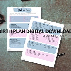 May include: A printable birth plan checklist with sections for preferences, pain management, and labor and delivery. The checklist is in a light blue and pink color scheme with the text "Birth Plan Digital Download Designs by Nikina Ann".