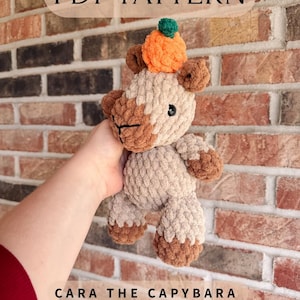 カピバラのあみぐるみ - Etsy 日本