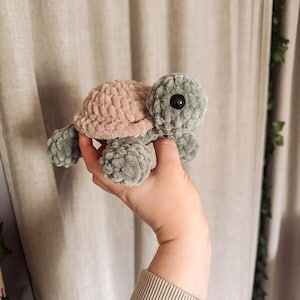 sprout the turtle- crochet pattern, tortoise crochet pattern, turtle amigurumi pattern, no sew, land turtle crochet pattern, amigurumi