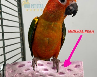 PERCHA SALUDABLE para loro, fuente mineral.