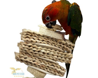 JUGUETE PARA LORO inteligente