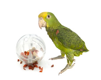 Comedero de bolas de loro, juguete