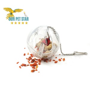 parrot toy