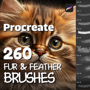 260 Fur & feather brushes, Procreate brush bundle, iPad brushes, Fur Procreate, Feather stamps, Fur brushset, Animal Procreate Digital brush