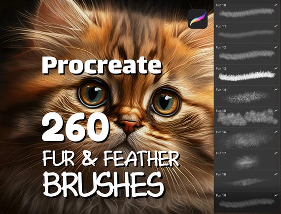 260 Fur & feather brushes, Procreate brush bundle, iPad brushes, Fur Procreate, Feather stamps, Fur brushset, Animal Procreate Digital brush