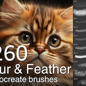 260 Fur & feather brushes, Procreate brush bundle, iPad brushes, Fur Procreate, Feather stamps, Fur brushset, Animal Procreate Digital brush