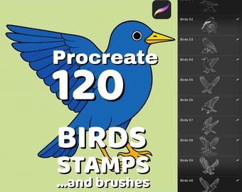 120 Birds stamps for Procreate, Realistic bird clipart, Feathers Procreate brushes, Nature illustration