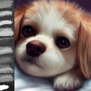 May include: A close-up of a small, white and brown dog with big, dark eyes. The dog is looking directly at the camera with a sweet expression. The dog's fur is soft and fluffy.
