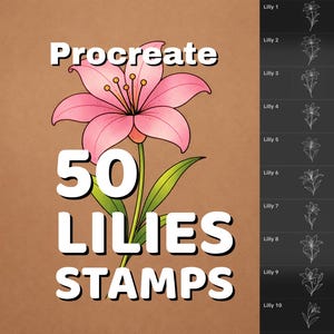 May include: An illustration for Procreate featuring a pink lily with green leaves. The image includes the text "Procreate" above the flower and "50 LILIES STAMPS" below. A side panel displays 10 line drawings of lilies.