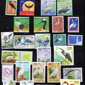 Vogels met lange poten, flora en fauna van papier, knutselen, scrapbooking
