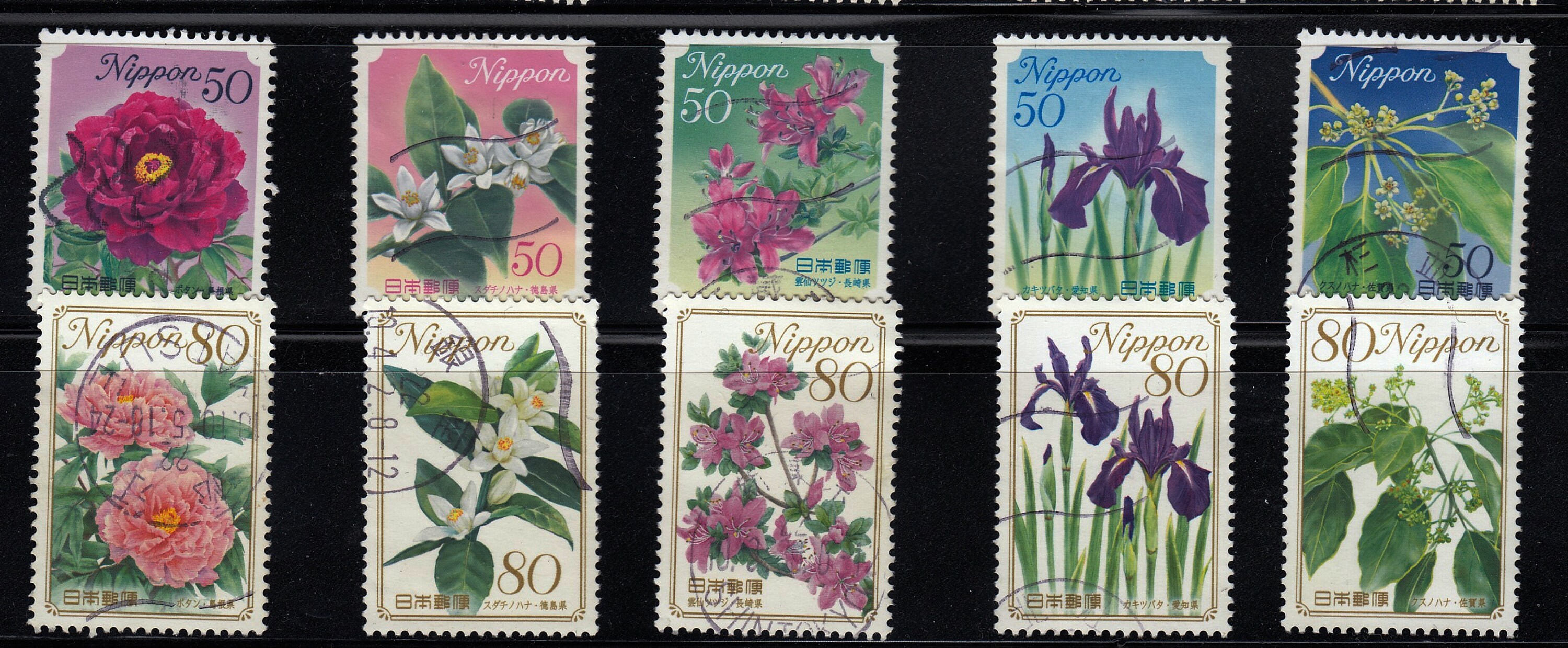 JR Nara Station Stamp  Stamp, Personalized stamps, Pokemon