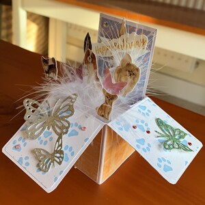 Estilo de caixa de cartões de aniversário