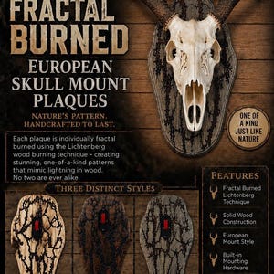 Fractal Burned Deer Skull Mount: Rustic Euro Mount Plaque