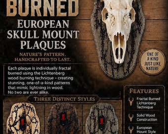 May include: A white deer skull mount on a wooden plaque with fractal burned Lichtenberg patterns. The text reads: UNIQUE FRACTAL BURNED EUROPEAN SKULL MOUNT PLAQUES, NATURE'S PATTERN. HANDCRAFTED TO LAST, ONE OF A KIND JUST LIKE NATURE, THREE DISTINCT STYLES.