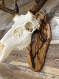 Fractal Burned Deer Skull Mount Plaque: Rustic European Mount, Euro Skull Mount