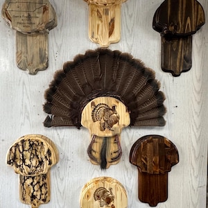 May include: A collection of wooden turkey fan mounts, each with a unique design. Some mounts feature engraved turkey illustrations, while others have text. The fans are displayed against a light wood-paneled wall.