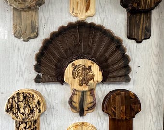DIY Turkey Fan Mount/Beard/Spur/Unique Turkey Fan Mount/Fathers Day/Turkey Hunter/Easy Turkey Fan Mount
