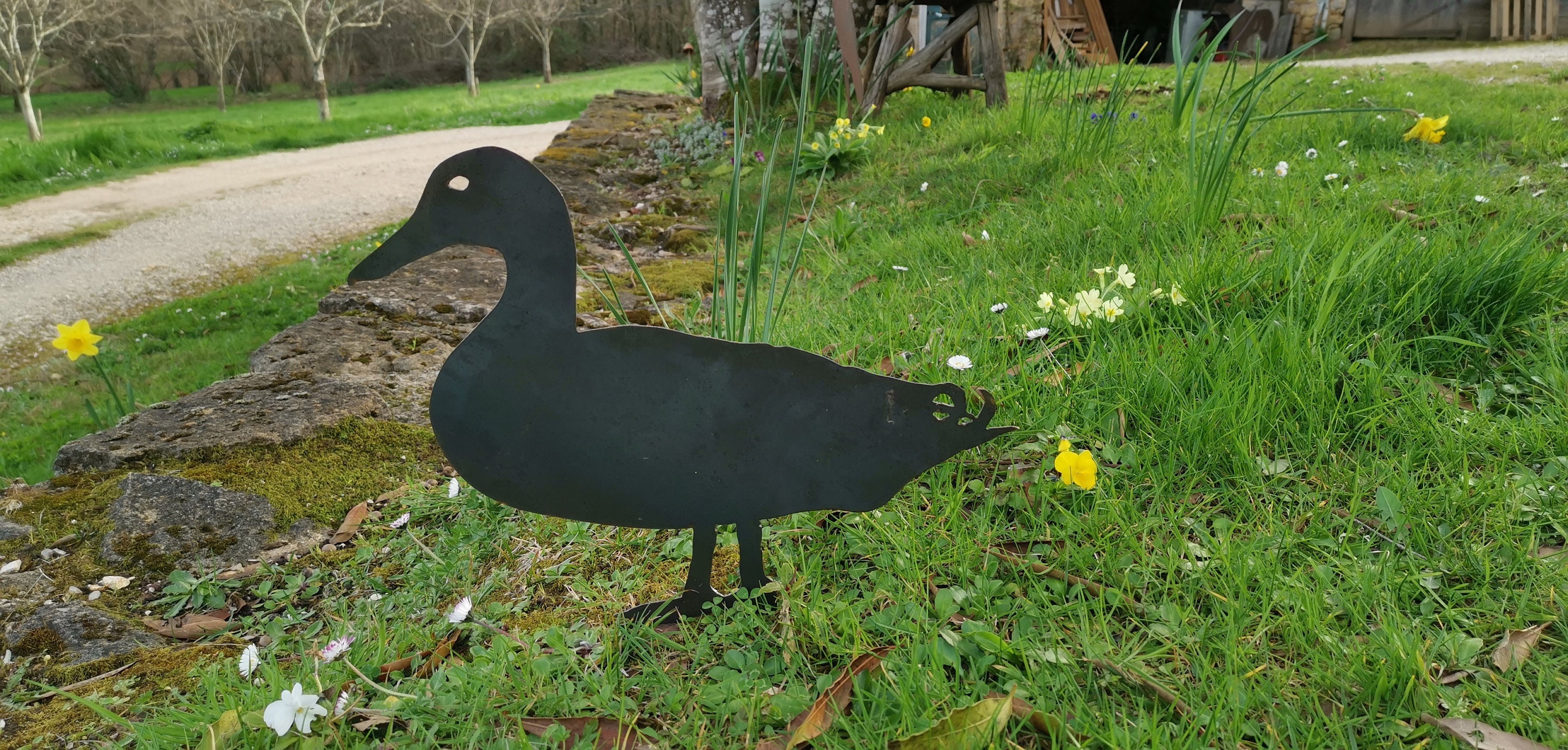 Silhouette de Canard