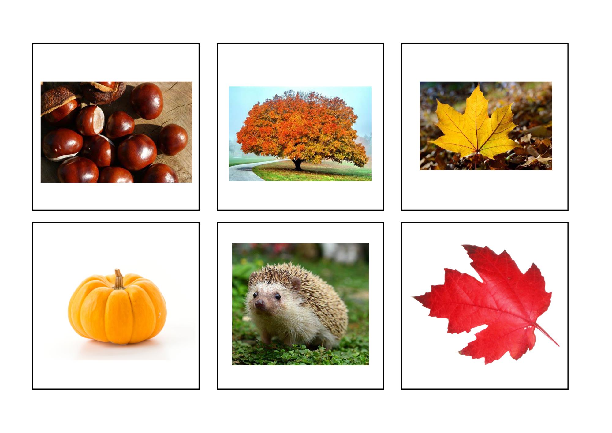 Autumn Bingo Game, Printable Vocabulary Activity (digital Download) - Etsy