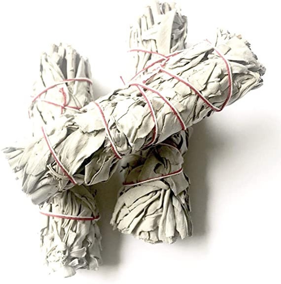 Fagot de Sauge Blanche 10 cm