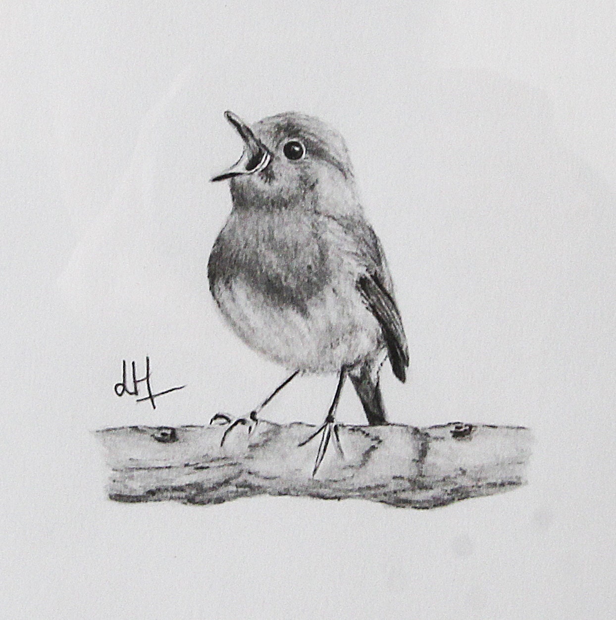Cadre Dessin Graphite - L'oiseau Œuvre Originale
