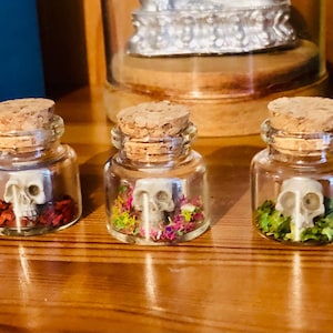 Mini Human Skull in a Jar Gift Decor Resin Home Decor Gifts Shelf Display