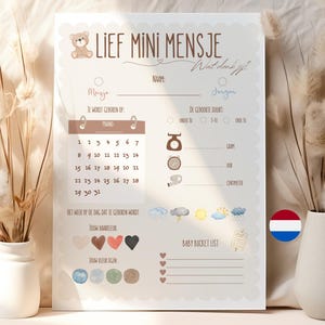 Jeux de baby shower • Cartes de prédictions pour bébé à remplir • Jeu de devinettes pour baby shower ou fête de révélation du sexe • Néerlandais (NL) • Imprimable • bohème