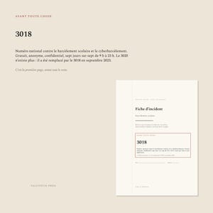 School Bullying Incident Report Form to Print | Record the Facts: Date, Location, Witnesses | PDF A4, 4 Sheets and the 3018 image 2