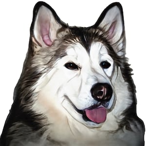 Pet Portraits , Custom Stickers , Coasters , Placemats and Tiles