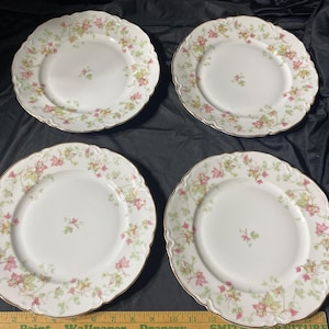 Set of 4 Hutschenreuther Selb Bavaria PASCO The Maple Leaf 9 3/4" Dinner Plates 7578
