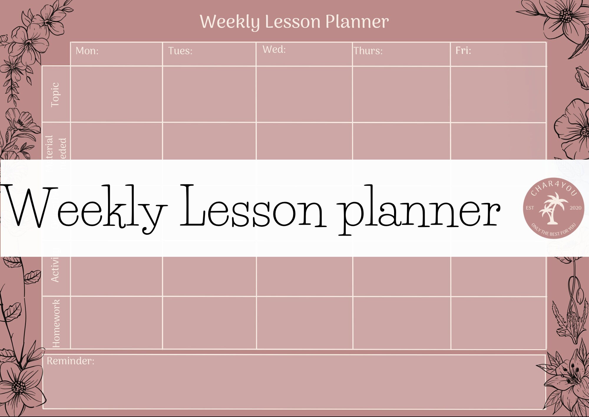 Teacher Weekly Lesson Planner: Printable PDF (digital Download) - Etsy