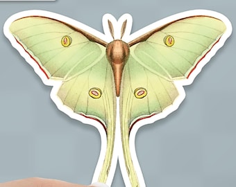 Luna Moth Sticker: Waterproof Vinyl Decal