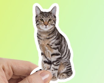 Tabby Cat Sticker, Tabby Kitten, Cat Sicker Water Bottle Sticker Laptop Sticker Car Decal Pet Sticker Waterproof Vinyl Sticker