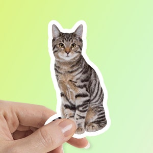 Tabby Cat Sticker, Tabby Kitten, Cat Sicker Water Bottle Sticker Laptop Sticker Car Decal Pet Sticker Waterproof Vinyl Sticker