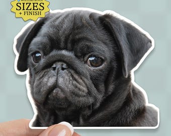 Black Pug Sticker: Waterproof Vinyl Puppy Decal
