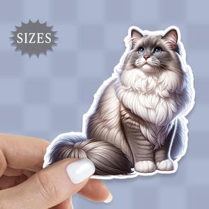 May include: A white and gray Ragdoll cat with blue eyes sits with its tail curled around its body. The cat is looking up and to the right. The image is a digital illustration.