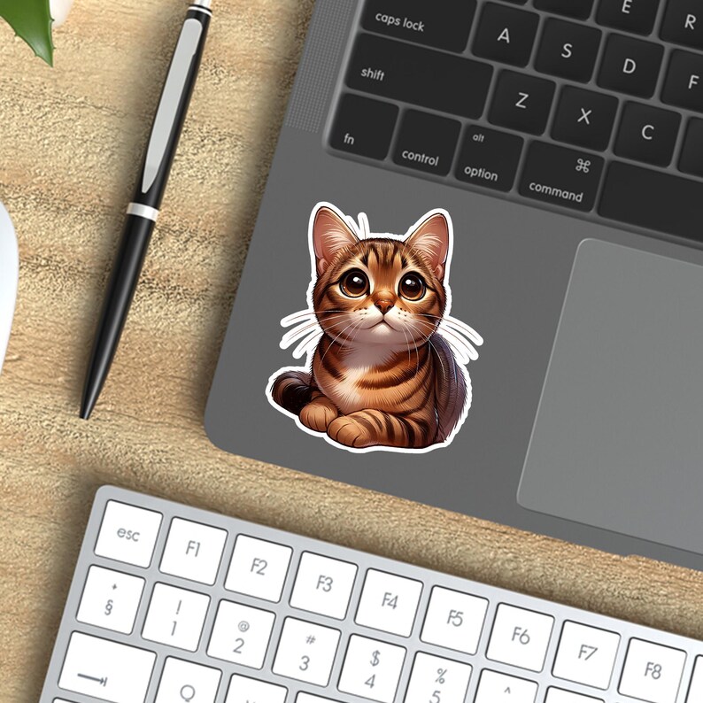 May include: A sticker featuring a cartoon illustration of a brown tabby cat with green eyes. The cat is sitting on its hind legs with its paws crossed and looking up.