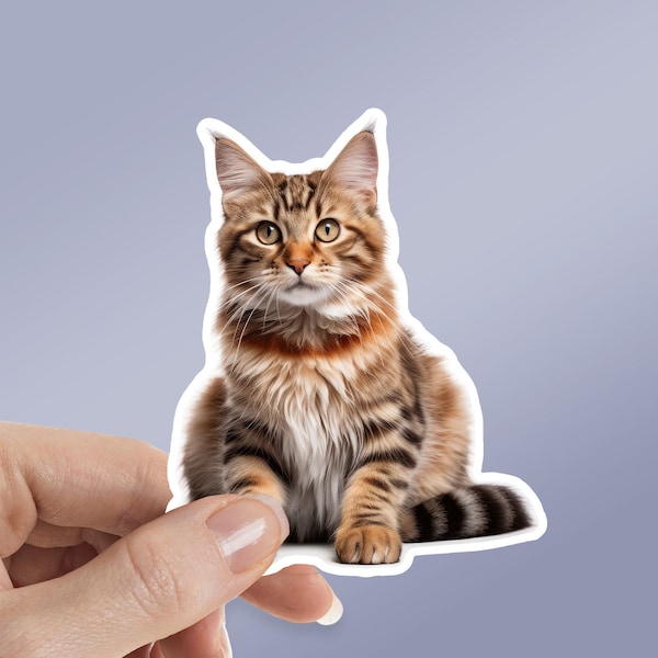 Tabby Cat Sticker, Tabby Kitten, Cat Sicker Water Bottle Sticker Laptop Sticker Car Decal Pet Sticker Waterproof Vinyl Sticker