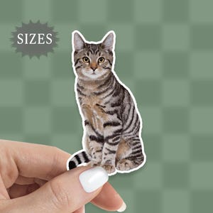 Tabby Cat Sticker, Tabby Kitten, Cat Sicker Water Bottle Sticker Laptop Sticker, Pet Sticker Waterproof Vinyl Sticker