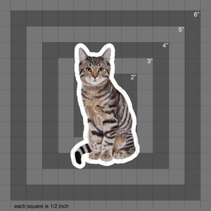 Tabby Cat Sticker, Tabby Kitten, Cat Sicker Water Bottle Sticker Laptop Sticker Car Decal Pet Sticker Waterproof Vinyl Sticker image 7