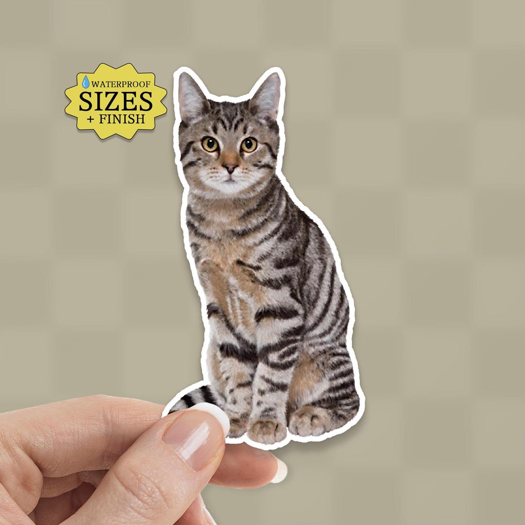 Brown Tabby Cat Sticker: Waterproof Vinyl Decal - Etsy