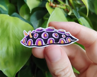 Nonbinary pride nudibranch: 1.5 in vinyl waterproof sticker