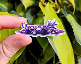 Asexual pride nudibranch: 1.5 in vinyl waterproof sticker