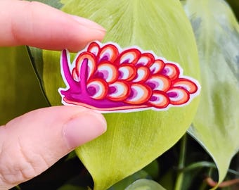 Lesbian pride nudibranch: 1.5 in vinyl waterproof sticker