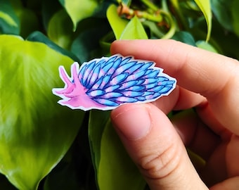Transgender pride nudibranch: 1.5 in vinyl waterproof sticker