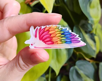 Gay Pride Nudibranch: 1.5 in waterproof vinyl sticker
